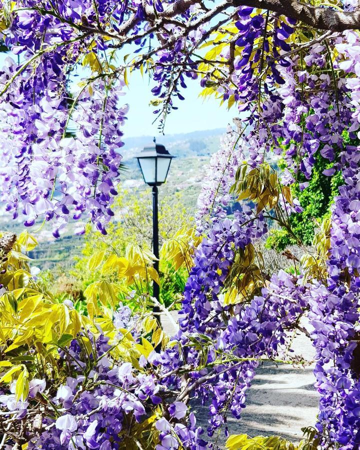 Готель Quinta Do Cabouco Рібейра-Брава Екстер'єр фото